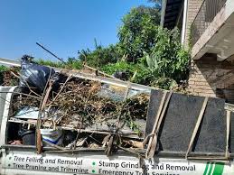 Shed Removal in Waverly, TN