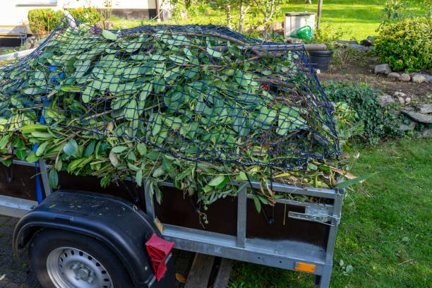 Best Shed Removal  in Waverly, TN